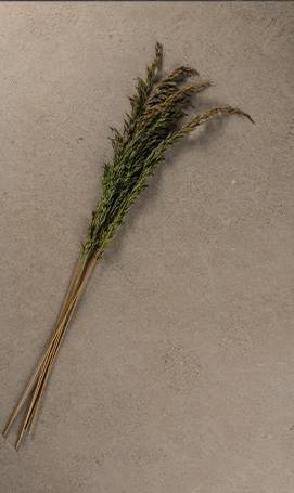 Zoom sur la texture de la pierre naturelle Zola Beige Beauregard