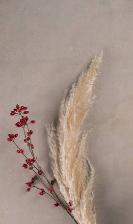 Pierre naturelle Chablis Clos Lucé