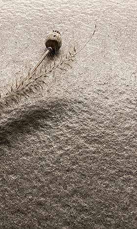 Zoom sur la texture de la pierre naturelle Kahla Passirac