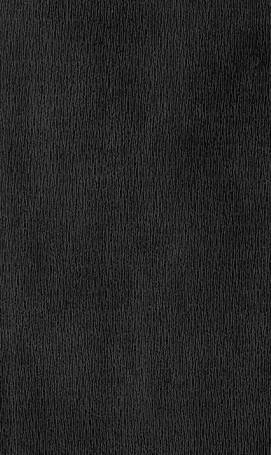 Pierre naturelle Black Atlas Rough Chisled