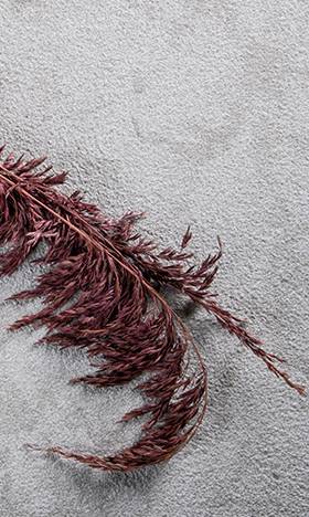 Pierre naturelle Avallon Talcy