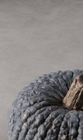 Zoom sur la texture de la pierre naturelle Avalon Brossée Beauregard