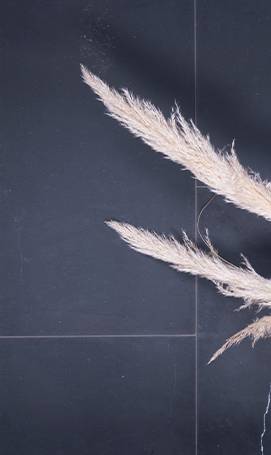 Black Atlas en finition Beauregard de la collection Limestone