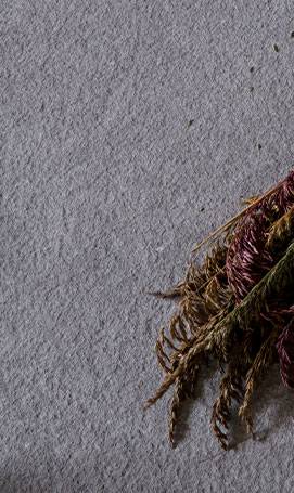 Pierre naturelle Kahla Fléac