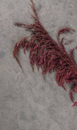 Pierre naturelle Zola Grey Gizeux