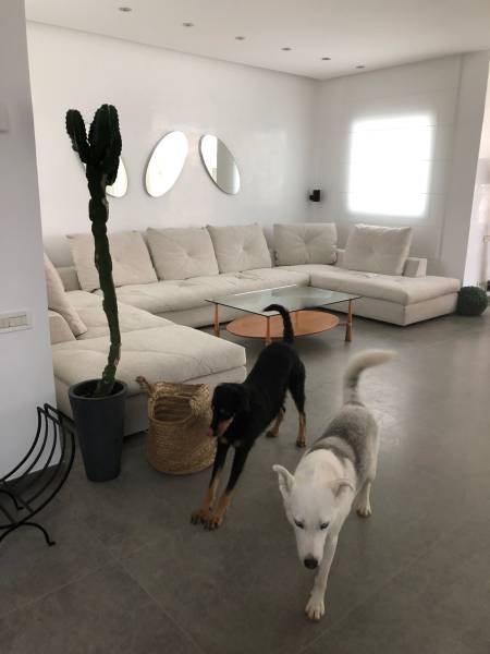 Revêtement de sol ultra résistant et durable à prix bas : nos pierres naturelles subliment l'architecture d'intérieur de cet espace à Nantes, Loire Atlantique