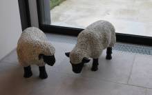 Nos prestations sur le secteur de Marrakech au Maroc