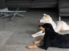 Notre zone d'activité pour ce service Vente de pierres naturelles pour piscines à