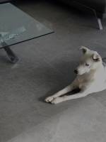 Nos prestations sur le secteur de Bruxelles en Belgique